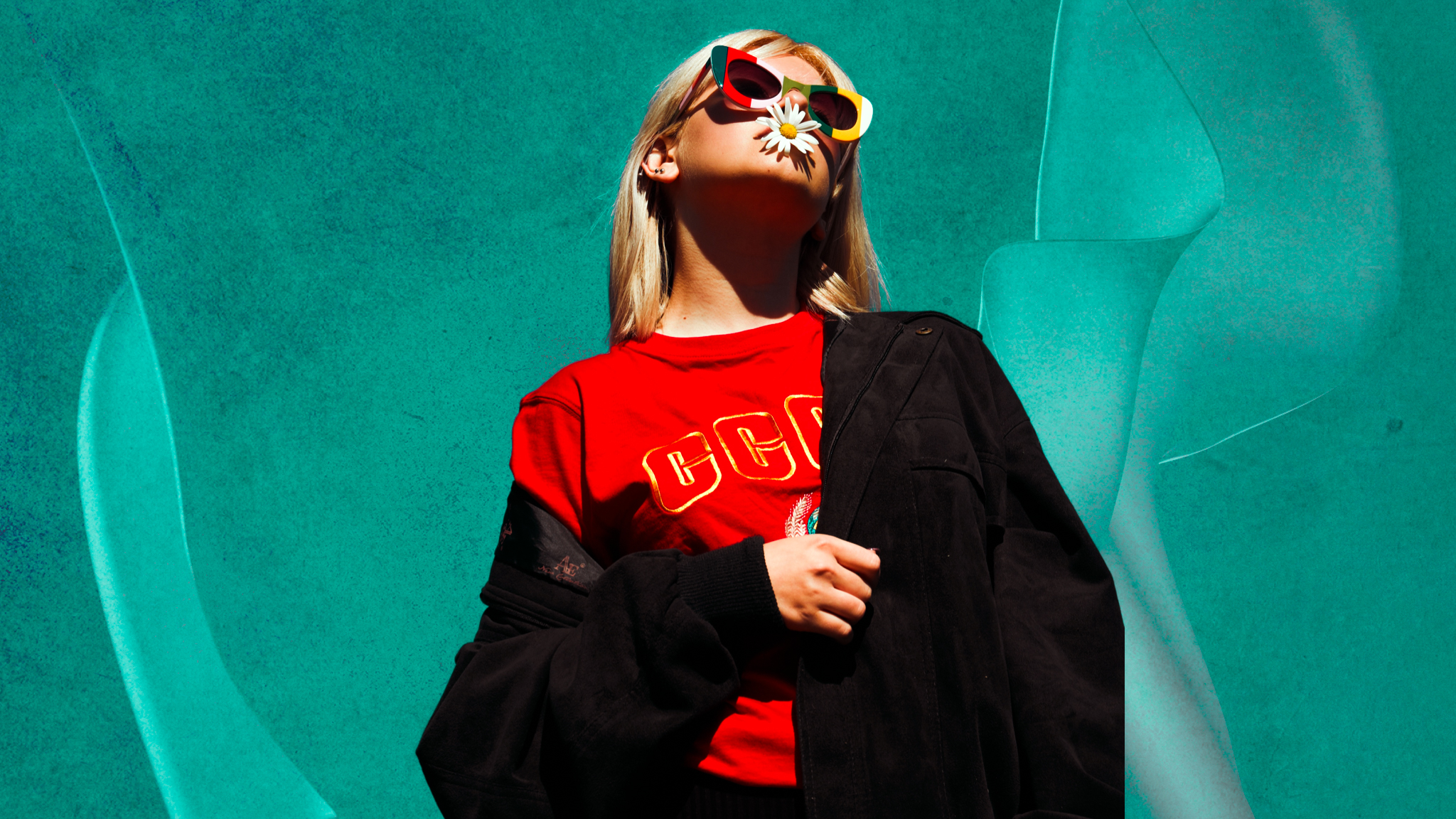 Bold Editions collection